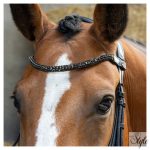 HARRYS HORSE Kantár – Anatomic Black Crystal