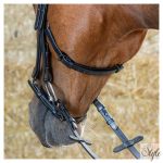HARRYS HORSE Kantár – Anatomic Black Crystal