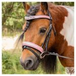 HARRYS HORSE póni kantár – Diva Mauvewood