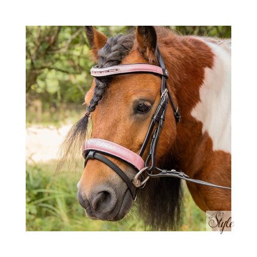 HARRYS HORSE póni kantár – Diva Mauvewood