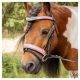 HARRYS HORSE póni kantár – Diva Mauvewood