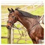 HARRYS HORSE Szügyelő – Rosegold