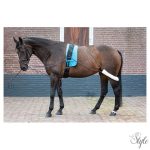 HARRYS HORSE Futószárazó rendszer – komplett 