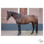 HARRYS HORSE Futószárazó segédszár – puha kivitel