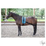 HARRYS HORSE Rugalmas futószárazó szalag – hátsó izmok aktiválásához