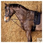 HARRYS HORSE V-alakú futószárazó kötél – karabineres