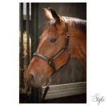 HARRYS HORSE bőr kötőfék – Metallic