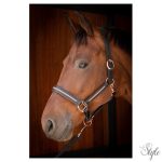HARRYS HORSE bőr kötőfék – Metallic
