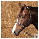 HARRYS HORSE bőr kötőfék – Elegance