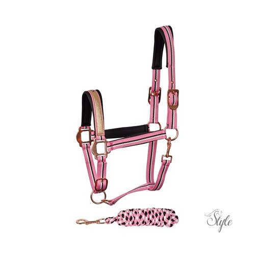 HARRYS HORSE Kötőfék és vezetőszár – QUEEN