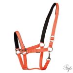 HARRYS HORSE bélelt kötőfék