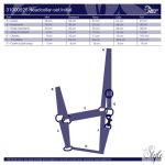 HARRYS HORSE Initial kötőfék és vezetőszár szett