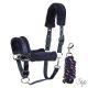 HARRYS HORSE Kötőfék szett vezetőszárral – Denici Cavalli Purple Passion Crystal