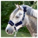 HARRYS HORSE Kötőfék szett vezetőszárral – Denici Cavalli Purple Passion Crystal