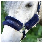 HARRYS HORSE Kötőfék szett vezetőszárral – Denici Cavalli Purple Passion Crystal