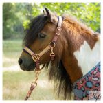 HARRYS HORSE póni kötőfék szett vezetőszárral – Diva Mauvewood