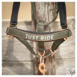 HARRYS HORSE Kötőfék szett vezetőszárral – Just Ride Summer Chique