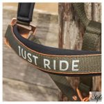 HARRYS HORSE Kötőfék szett vezetőszárral – Just Ride Summer Chique