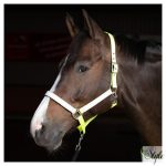 HARRYS HORSE Reflective kötőfék