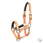 Harrys Horse csikó kötőfék