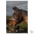 HARRYS HORSE Légymaszk Flyshield