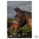HARRYS HORSE Légymaszk Flyshield