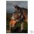HARRYS HORSE Légymaszk Flyshield, Fülek Nélkül