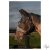 HARRYS HORSE Légymaszk Flyshield Orrvédővel