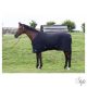 HARRYS HORSE Powerliner 200gr alátakaró