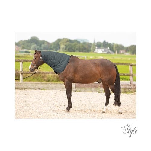 HARRYS HORSE Thor 200 g nyakvédő