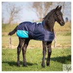 HARRYS HORSE Két tónusú csikótakaró 200 g