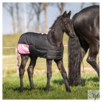 HARRYS HORSE Két tónusú csikótakaró 200 g