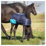 HARRYS HORSE Két tónusú csikótakaró 200 g