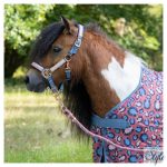 HARRYS HORSE póni légytakaró – Mesh-Pro Diva Mauvewood