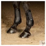 HARRYS HORSE Ínvédő Next