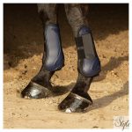 HARRYS HORSE Ínvédő Next