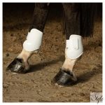 HARRYS HORSE Bokavédő Next