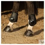 HARRYS HORSE Bokavédő Next