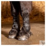 HARRYS HORSE Ínvédő Pinlock