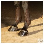 HARRYS HORSE Ínvédő Percy Air