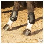 HARRYS HORSE Csánkvédő Percy Air