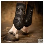 HARRYS HORSE Lábvédő Air Mesh Pro (hátsó lábra)