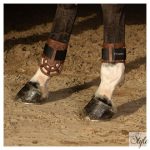 HARRYS HORSE Protech bokavédő