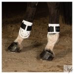 HARRYS HORSE Protech bokavédő