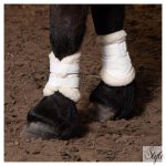 HARRYS HORSE Flextrainer Tiny Air ínvédő