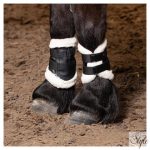 HARRYS HORSE Flextrainer Tiny Air ínvédő