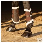 HARRYS HORSE Flextrainer ínvédő