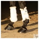 HARRYS HORSE Flextrainer ínvédő