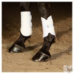 HARRYS HORSE Flextrainer Air Mesh ínvédő