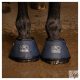 HARRYS HORSE Vízpermetes pataharang